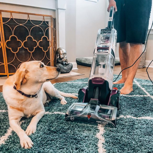 Hoover Smartwash Pet Carpet Cleaner Machine, FH53010!

-Brand new out of the box