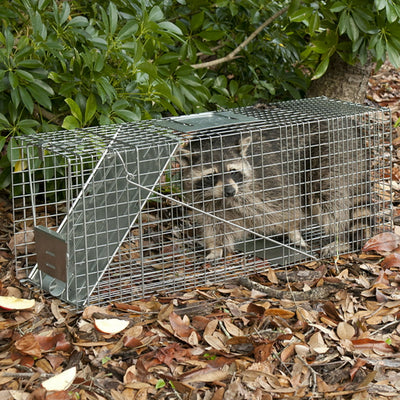 Havahart Large 1-Door Animal Trap!

-Brand new out of the box 