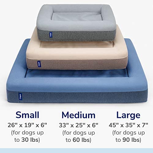 Casper Dog Bed, Small!

-Brand new in the box 