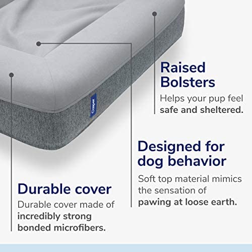 Casper Dog Bed, Small!

-Brand new in the box 