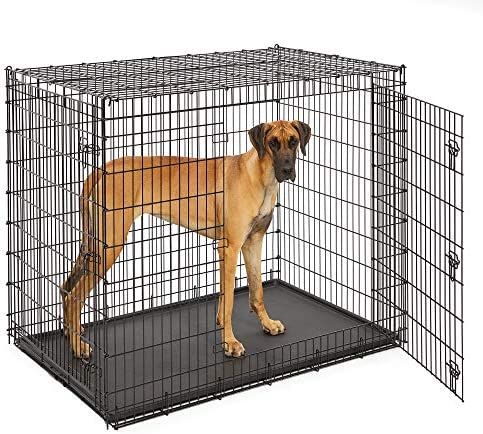 MidWest Homes for Pets XXL Giant Dog Crate | 54-Inch Long Ginormous Dog Crate!

-New in the box 