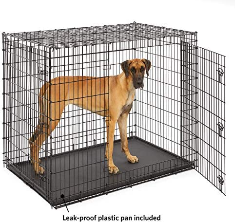 MidWest Homes for Pets XXL Giant Dog Crate | 54-Inch Long Ginormous Dog Crate!

-New in the box 
