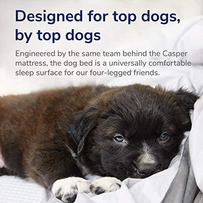 Casper Dog Bed, Small!

-Brand new in the box 