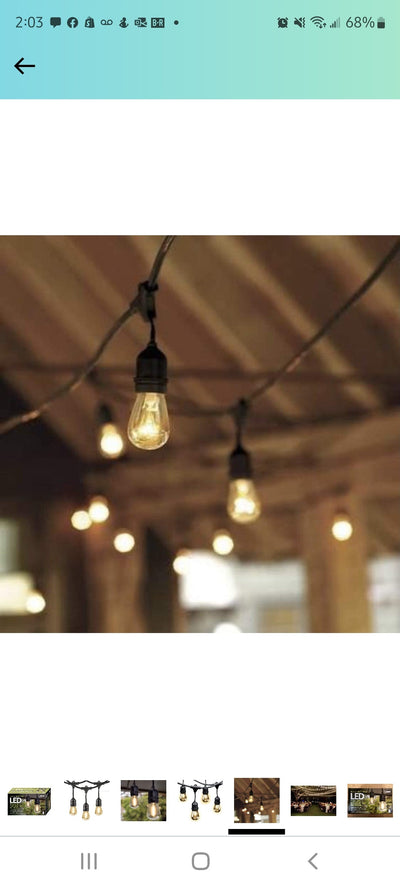 Feit Led String Lights