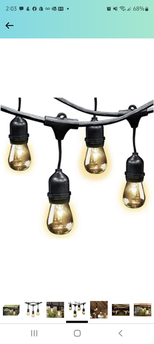 Feit Led String Lights