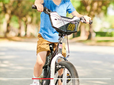 Schwinn Koen & Elm Toddler and Kids Bike