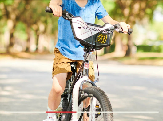 Schwinn Koen & Elm Toddler and Kids Bike