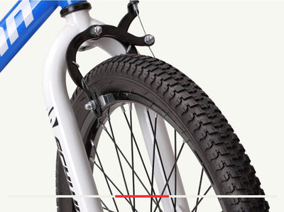 Schwinn Koen & Elm Toddler and Kids Bike