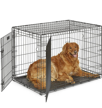 MidWest 42" Dog icrate