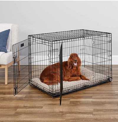 MidWest 42" Dog icrate