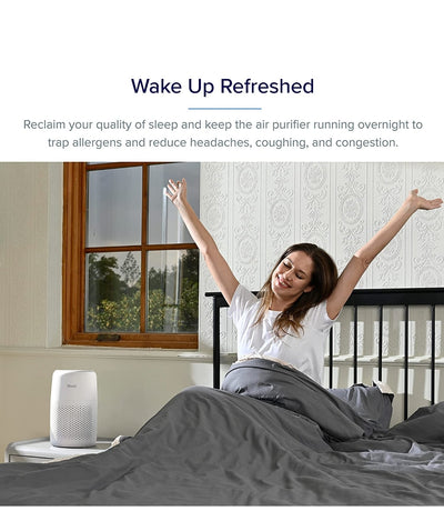LEVOIT Air Purifier
