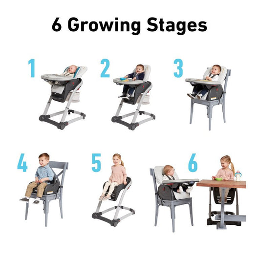 Graco® Blossom™ 6-in-1 Convertible Highchair, Sapphire!

-Brand new in the box 