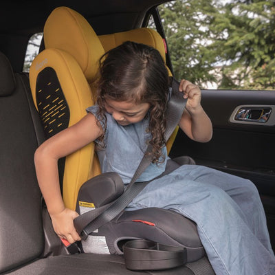Diono Monterey 4DXT Latch 2-in-1 Booster Car Seat, Plum!

-New in the box 