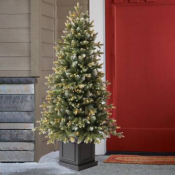 4.5' Pre-Lit Radiant Micro LED Artificial Potted Tree!

-Brand new in the box

-200 Total LED Lights