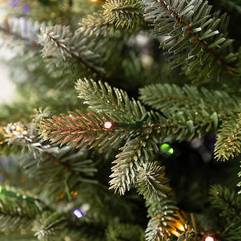 4.5' Pre-Lit Radiant Micro LED Artificial Potted Tree!

-Brand new in the box

-200 Total LED Lights
