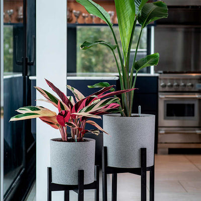 Vita Växa Planters, 2-pack (new out of the box, shipping damage- see pictures)