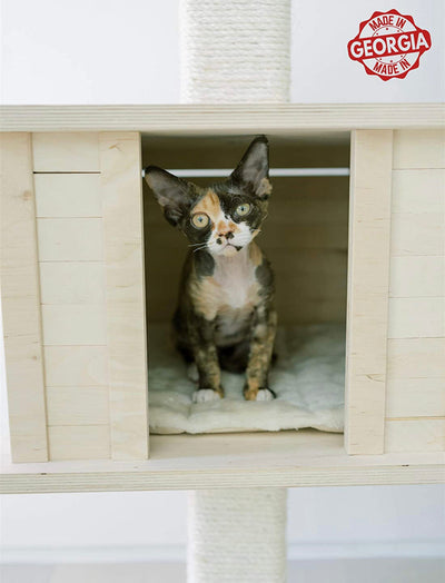 PAWMONA Multi-Level Cat Tree Bed Condo, 60", Indoor Cat Tower with Square-Shaped Scratching Posts for Cats and Kittens, 4 Beds, 1 Covered, Made from Natural Birch Wood and Natural Sisal Matting, Cream