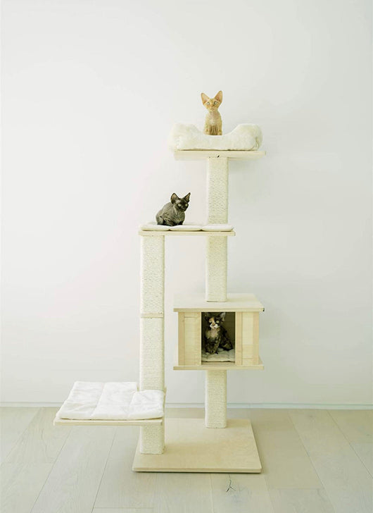 PAWMONA Multi-Level Cat Tree Bed Condo, 60", Indoor Cat Tower with Square-Shaped Scratching Posts for Cats and Kittens, 4 Beds, 1 Covered, Made from Natural Birch Wood and Natural Sisal Matting, Cream