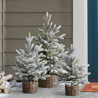 Flocked Trees with LED Lights, Set of 3**New in box**