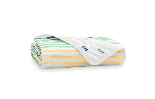 Gap Home Kids Rainbow Stripe Organic Cotton Blend Reversible Quilt Set, Full/Queen, Green Multi, 3-Pieces- NEW!!!
