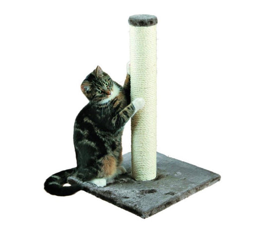 TRIXIE Parla Scratching Post, Durable Sisal Rope, 24.5" Tall, Gray- NEW AND ASSEMBLED!!!