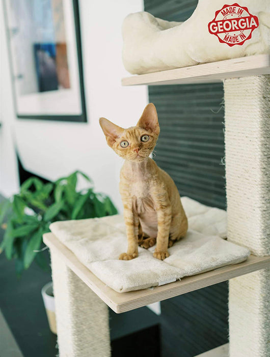 PAWMONA Multi-Level Cat Tree Bed Condo, 60", Indoor Cat Tower with Square-Shaped Scratching Posts for Cats and Kittens, 4 Beds, 1 Covered, Made from Natural Birch Wood and Natural Sisal Matting, Cream