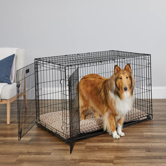 MidWest Homes for Pets Newly Enhanced Single and Double Door iCrate Dog Crate**New in box**