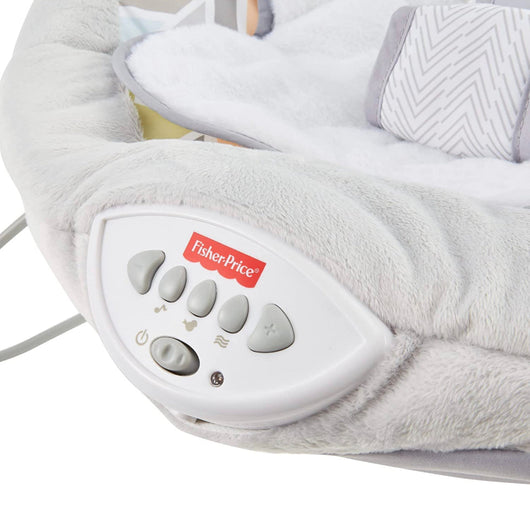 Fisher-Price Sweet Snugapuppy Deluxe Bouncer, portable bouncing baby seat with overhead mobile, music, and calming vibrations [
