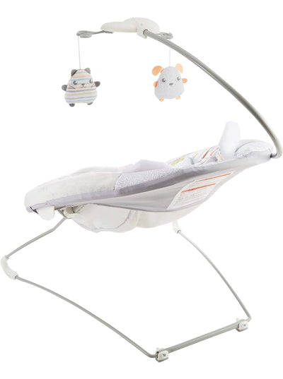 Fisher-Price Sweet Snugapuppy Deluxe Bouncer, portable bouncing baby seat with overhead mobile, music, and calming vibrations [