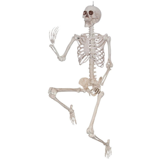 WAY TO CELEBRATE! Halloween Hanging Posable Skeleton Decoration, 5'**New**