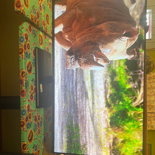 Hisense 50" Class 4K UHD LED LCD Roku Smart TV! (USED)