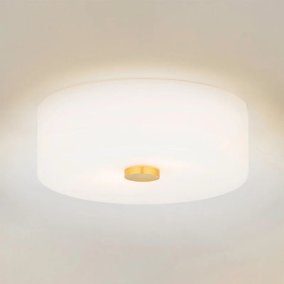 Mitzi Sophie Flush Ceiling Mount (new in the box)