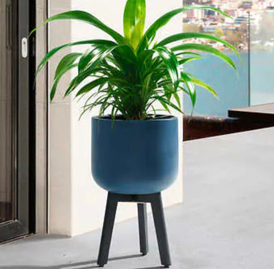 Cement Planter with Wood Legs- NEW!!!