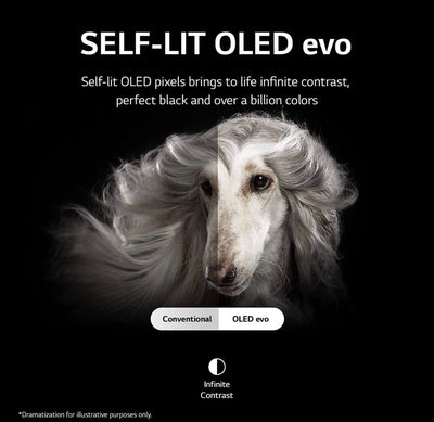 LG C2 Series 77-Inch Class OLED evo Gallery Edition Smart TV OLED77C2PUA, 2022 - AI-Powered 4K, Alexa Built-in- BRAND NEW IN BOX!!! PLEASE READ DESCRIPTION!!!