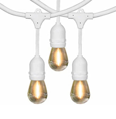 Feit Electric 48' LED Filament String Light Set