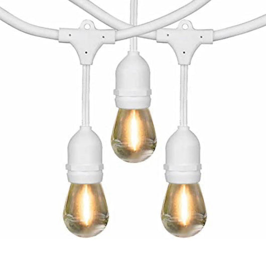 Feit Electric 48' LED Filament String Light Set