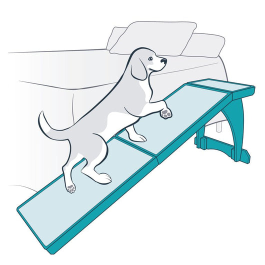 PetSafe CozyUp Bed Ramp for Dogs and Cats, Durable, Easy-to-Store, White**New in box**