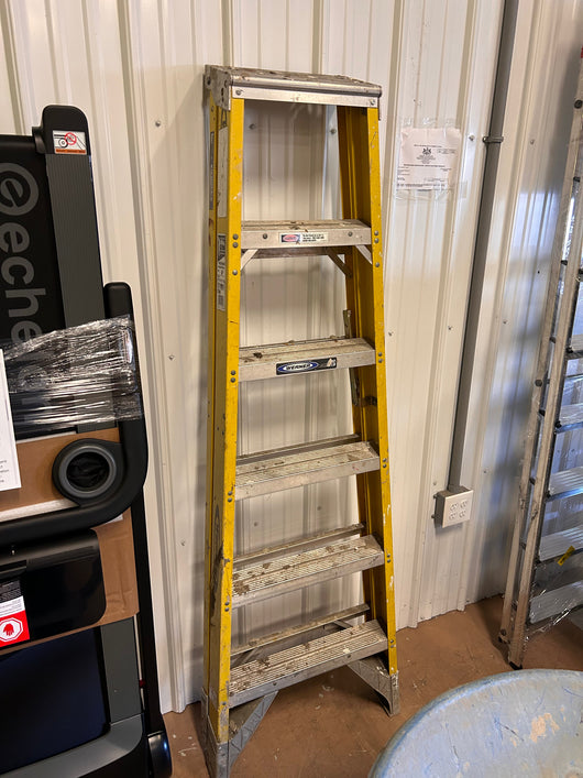 Werner 6’ Pro Series Ladder! (USED)  -Used but works great