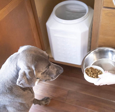 Gamma2 Vittles Vault Pet Food Storage Container, 35 Pounds- NEW IN BOX!!!