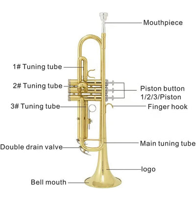 JUUXAAN Brass Standard Bb Trumpet Instrument with Hard Case,Gloves, 7C Mouthpiece for Student Beginner (golden)- NEW IN CARRY CASE!!!