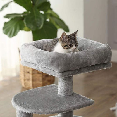 Small Cat Condo!  -Brand new and assembled