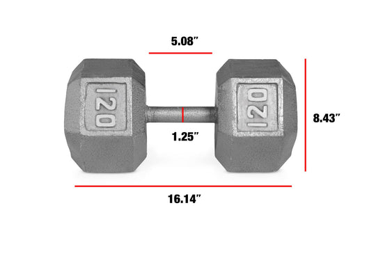 CAP barbell Single 120 Lb Cast Iron Dumbbell (new but does have some chips and scratches. Photos shown)