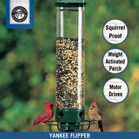 Droll Yankees YF-M Yankee Flipper Squirrel-Proof Bird Feeder, 17.25", Green**New**