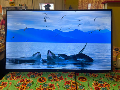 TCL 55" Class 4-Series 4K UHD HDR Roku Smart TV