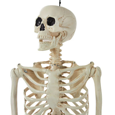 WAY TO CELEBRATE! Halloween Hanging Posable Skeleton Decoration, 5'**New**