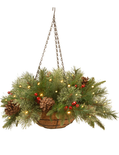 National Tree Company Pre-Lit 'Feel Real' Artificial Christmas Hanging Basket, Colonial, Decorated With Frosted Pine Cones, Berry Clusters, White Lights, Christmas Collection, 20 Inches- NEW IN BOX!!!!