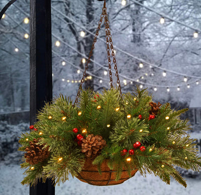 National Tree Company Pre-Lit 'Feel Real' Artificial Christmas Hanging Basket, Colonial, Decorated With Frosted Pine Cones, Berry Clusters, White Lights, Christmas Collection, 20 Inches- NEW IN BOX!!!!