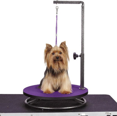 Master Equipment Small Dog & Cat Grooming Table, Purple- new / assembled