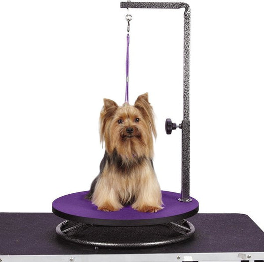 Master Equipment Small Dog & Cat Grooming Table, Purple- new / assembled