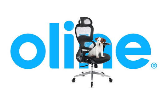 Oline ErgoPro Ergonomic Office Chair - Rolling Desk Chair with 4D Adjustable Armrest, 3D Lumbar Support and Blade Wheels - Mesh Computer Chair, Gaming Chairs, Executive Swivel Chair (Black)**New and assembled**